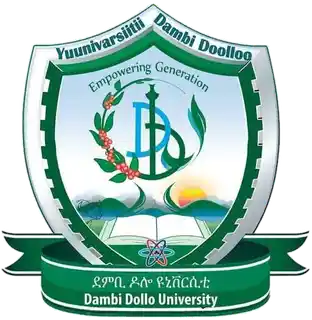 Dembidolo University